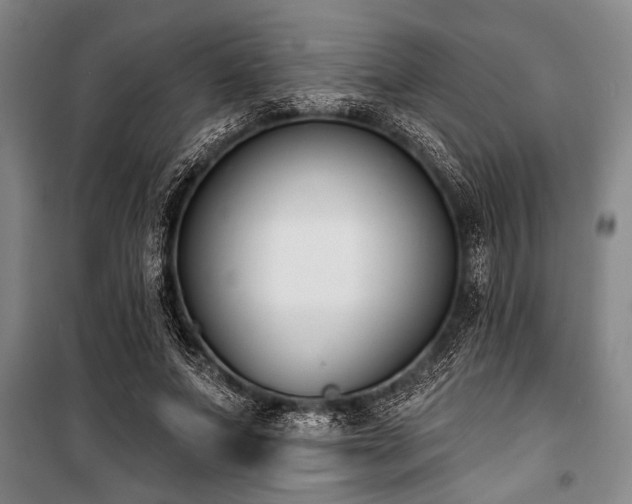 X0000101200687200806271351