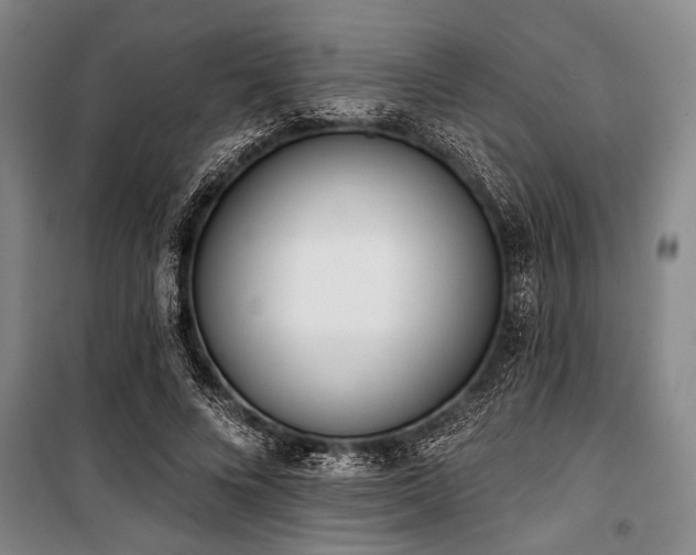 X0000101200688200806271351
