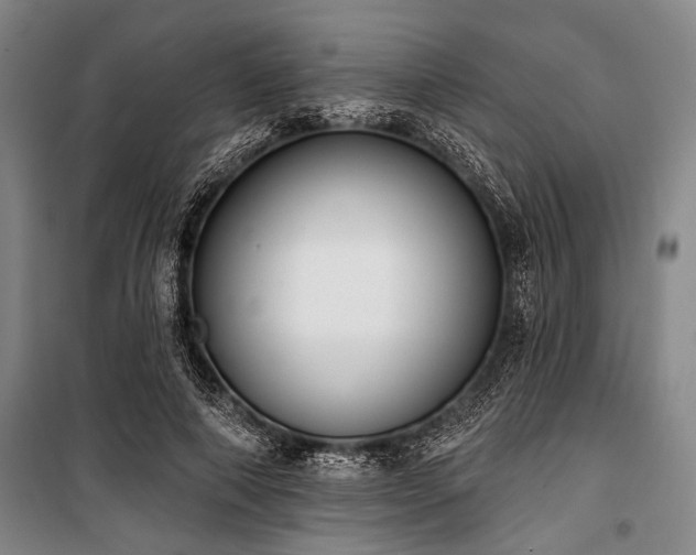 X0000101200690200806271351