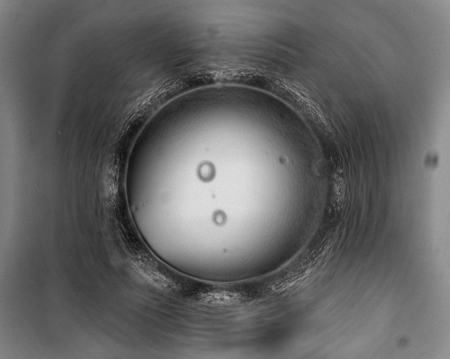 X0000101200691200806271351