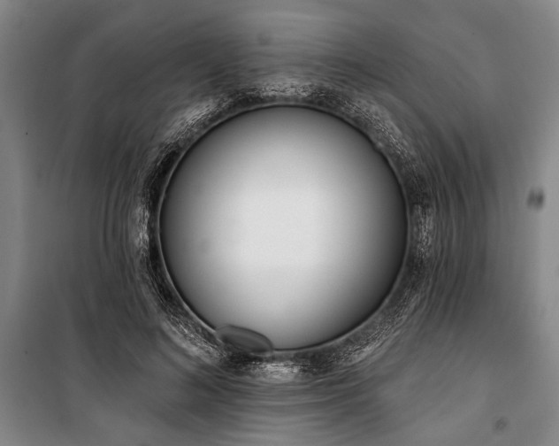 X0000101200692200806271351