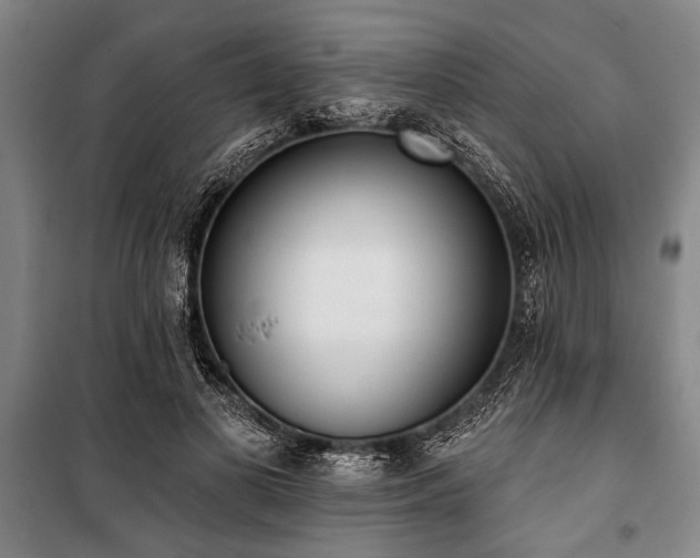X0000101200693200806271351