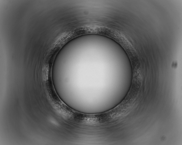 X0000101200694200806271351
