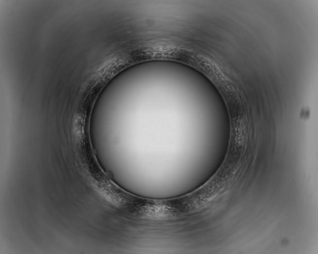 X0000101200695200806271351