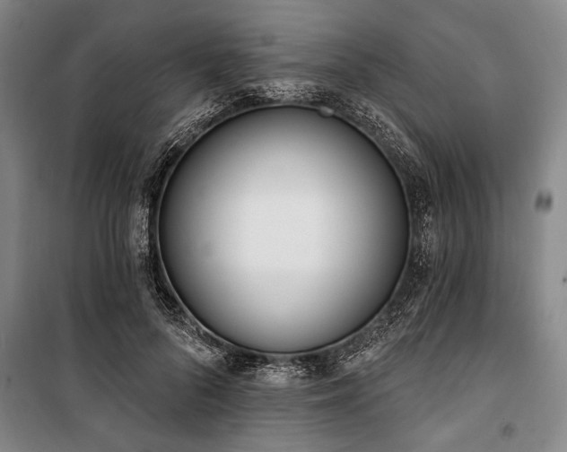 X0000101200696200806271351