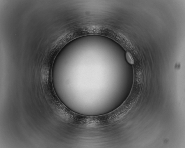 X0000101200697200806271351
