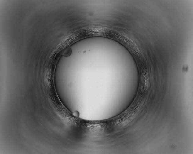 X0000101200698200806271351