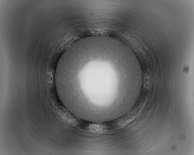 X0000101200699200806271351