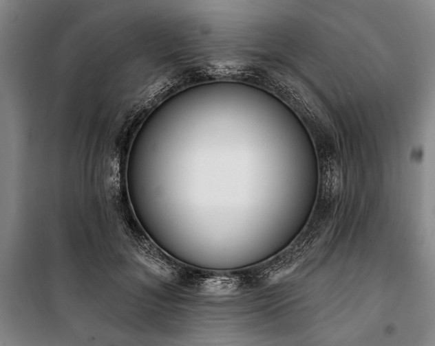 X0000101200700200806271351