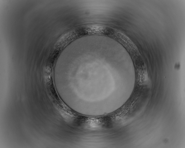 X0000101200701200806271351