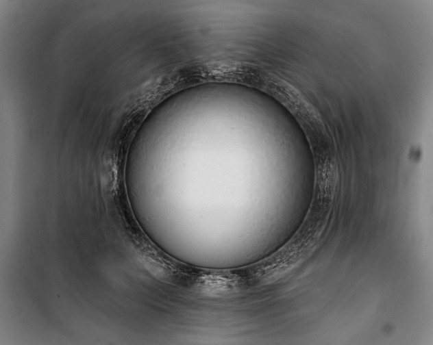 X0000101200703200806271351