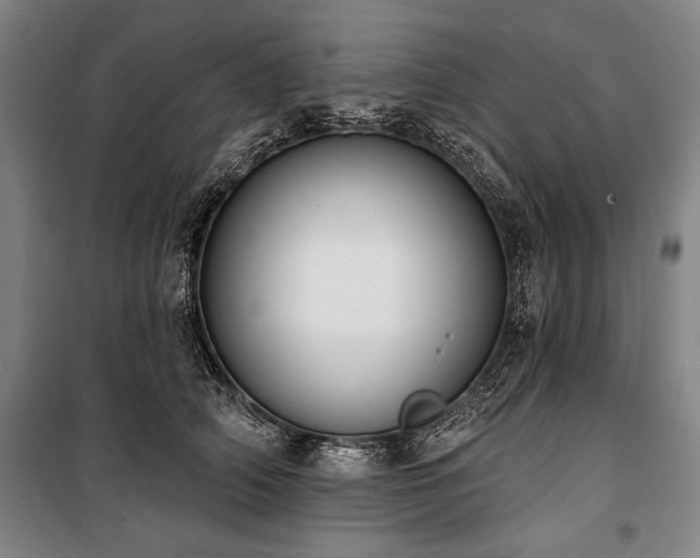 X0000101200706200806271351