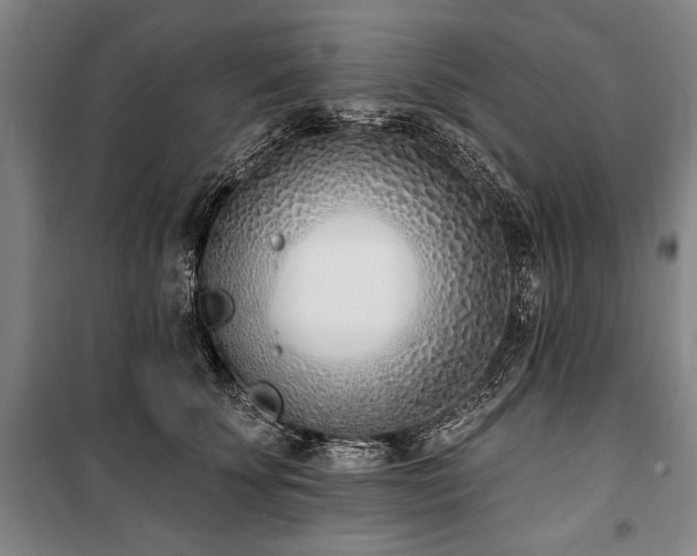 X0000101200707200806271351