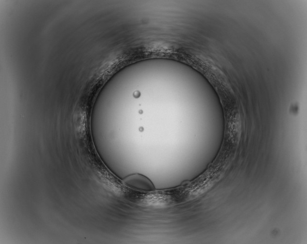 X0000101200708200806271351