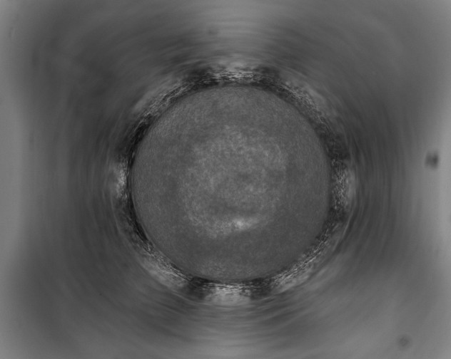 X0000101200709200806271351
