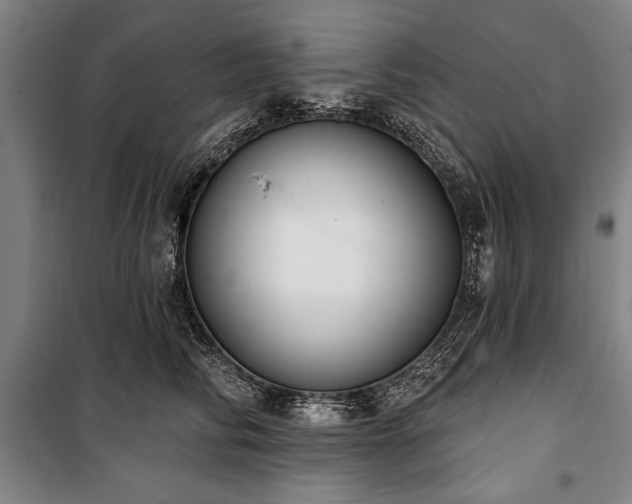 X0000101200710200806271351