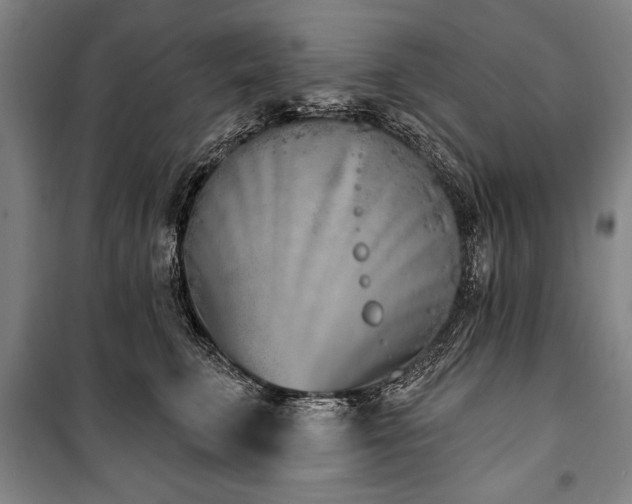 X0000101200711200806271351