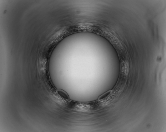 X0000101200712200806271351