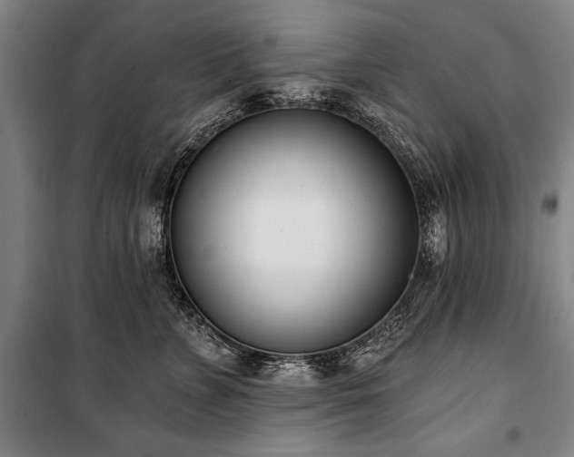 X0000101200715200806271351
