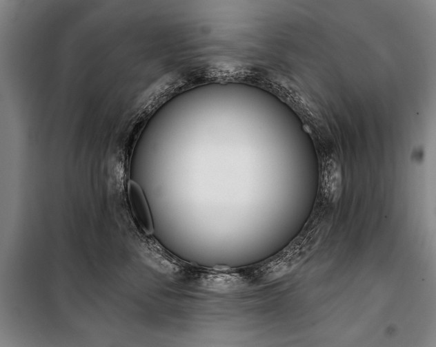 X0000101200716200806271351