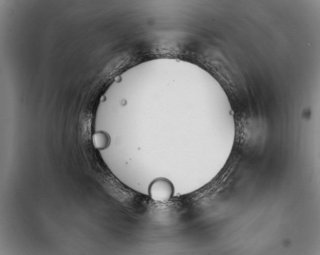 X0000101200717200806271351