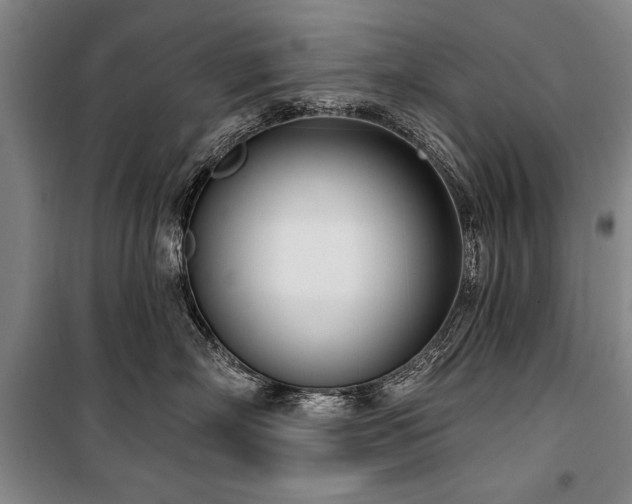 X0000101200718200806271351