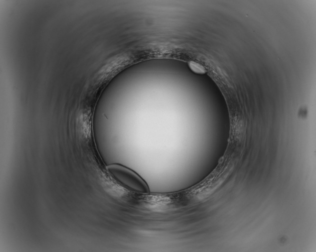 X0000101200719200806271351