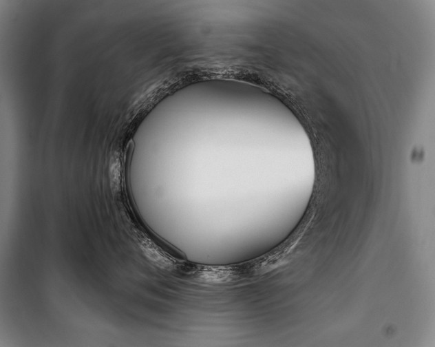 X0000101200720200806271351