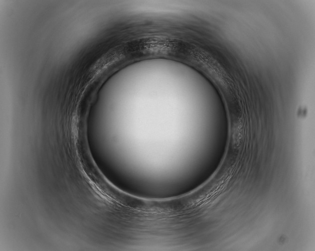 X0000101200722200806271350