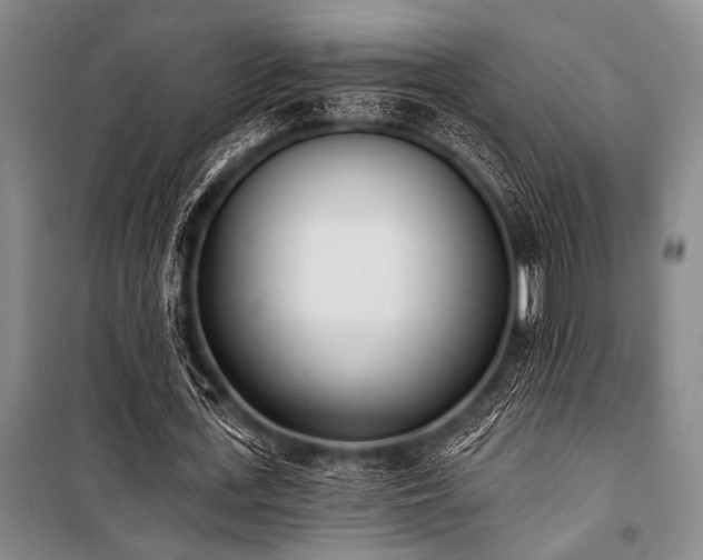 X0000101200723200806271350