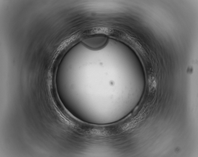 X0000101200725200806271350