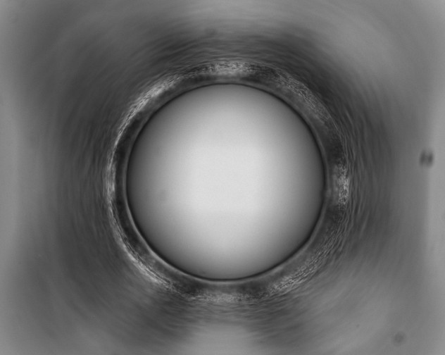 X0000101200726200806271350