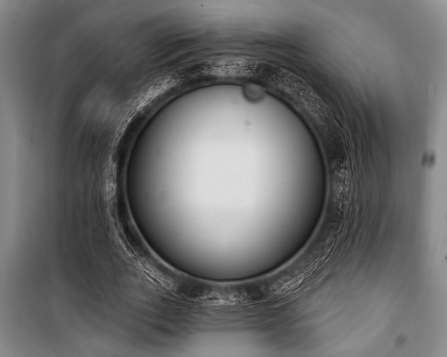 X0000101200727200806271350