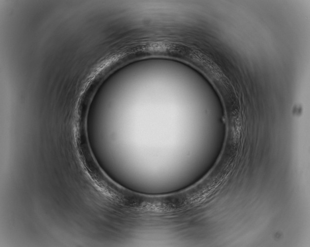 X0000101200728200806271350