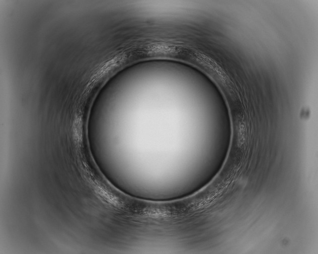 X0000101200729200806271350