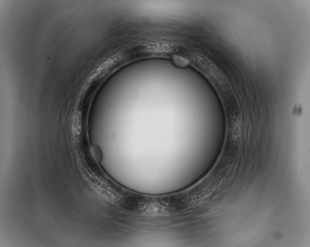 X0000101200731200806271350