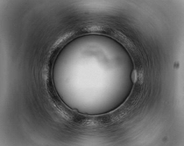 X0000101200732200806271350