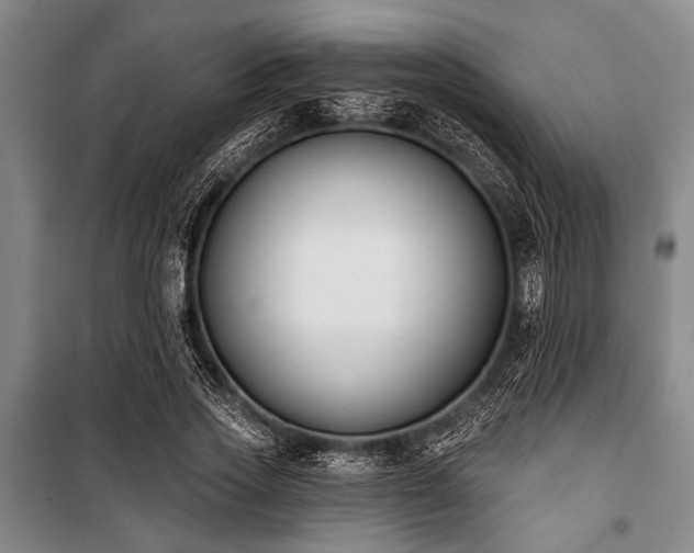 X0000101200733200806271350