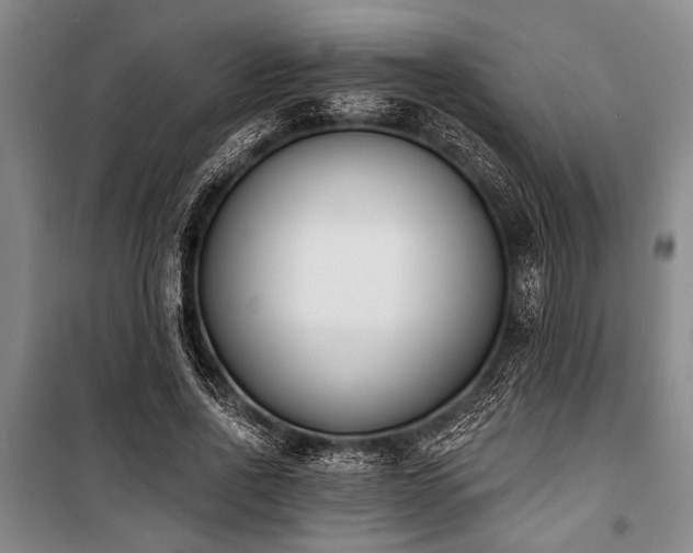 X0000101200734200806271350