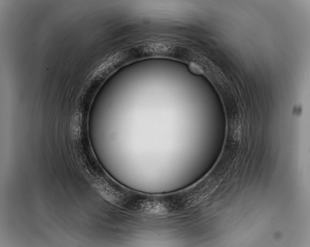 X0000101200735200806271350
