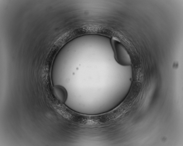 X0000101200737200806271350