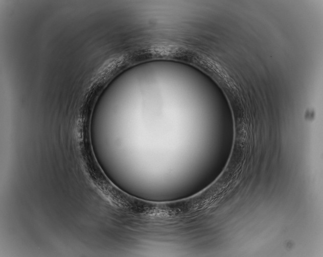 X0000101200738200806271350