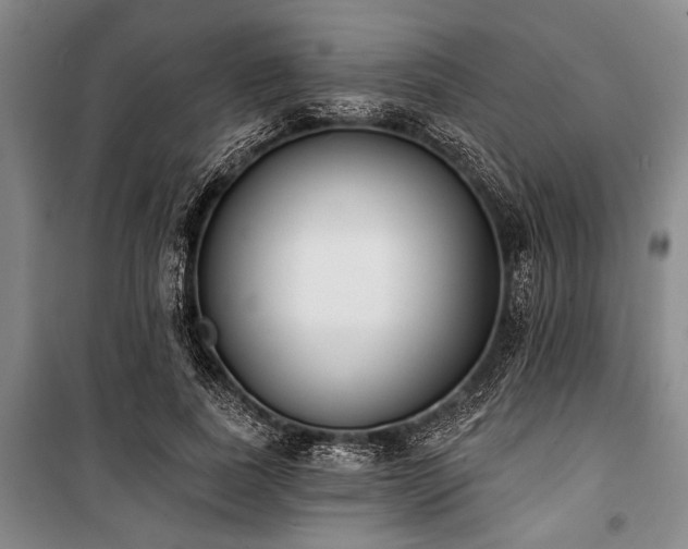 X0000101200739200806271350