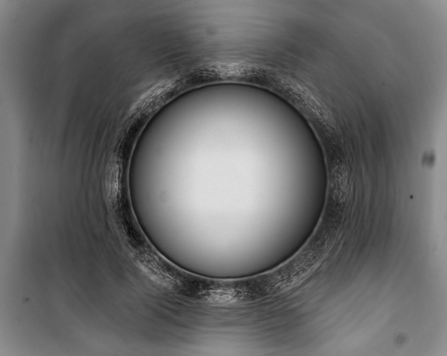 X0000101200740200806271350