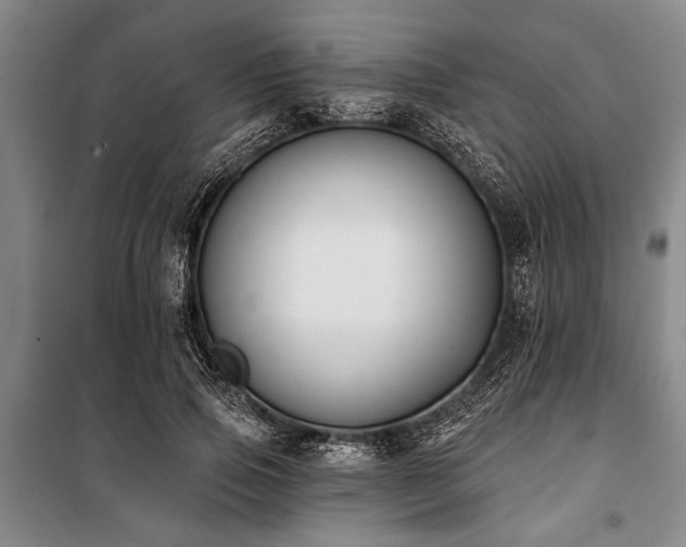 X0000101200741200806271350
