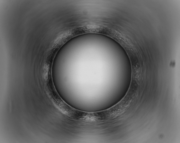 X0000101200742200806271350