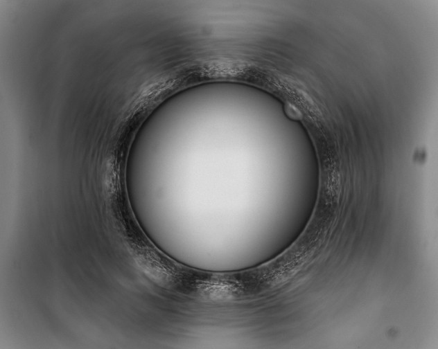 X0000101200743200806271350