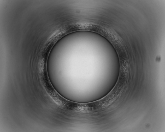 X0000101200744200806271350
