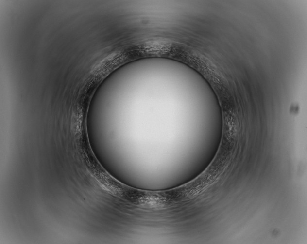 X0000101200745200806271350