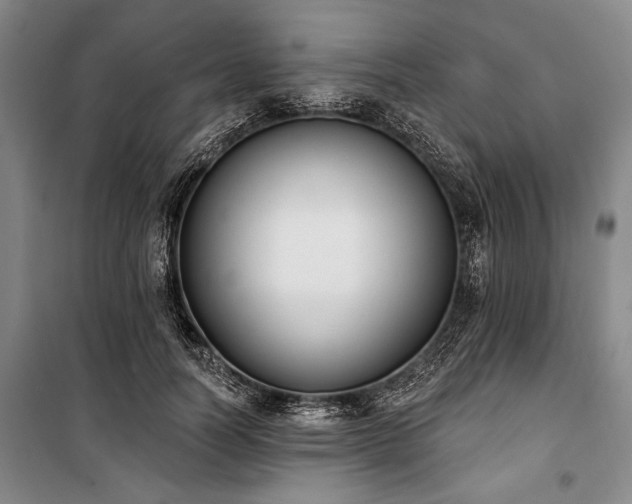 X0000101200746200806271350